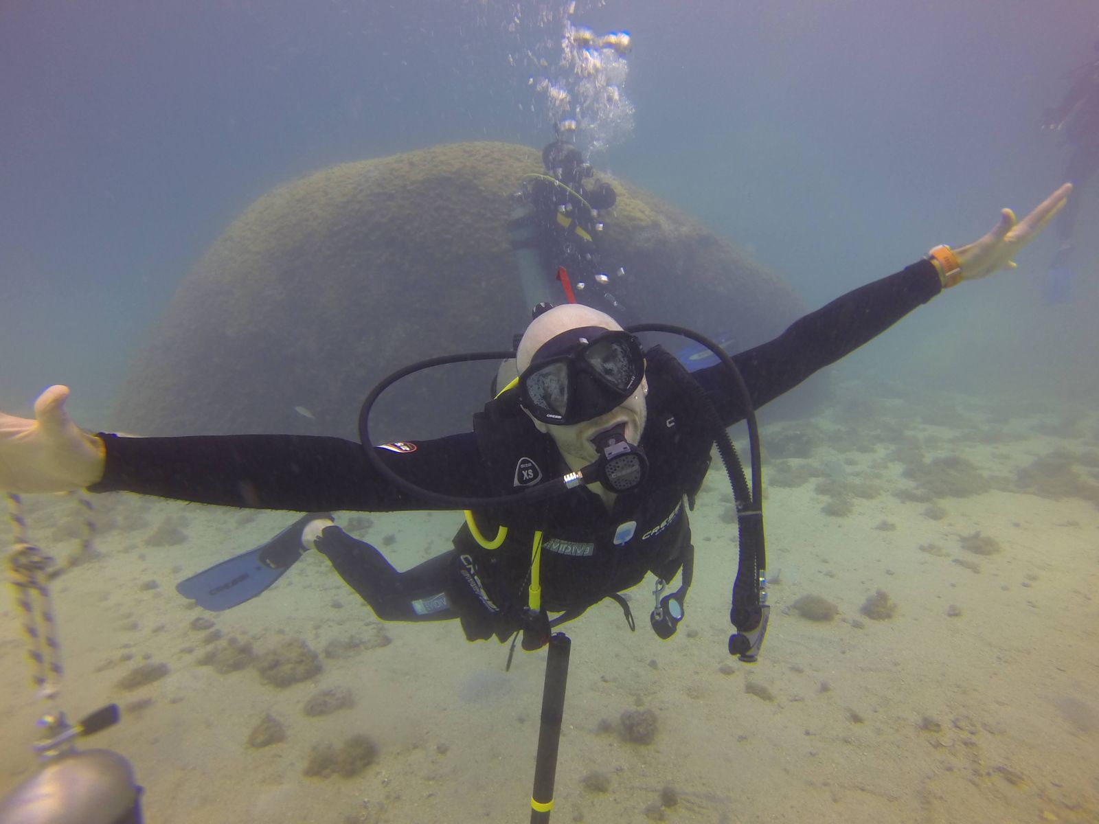 On the reef floor