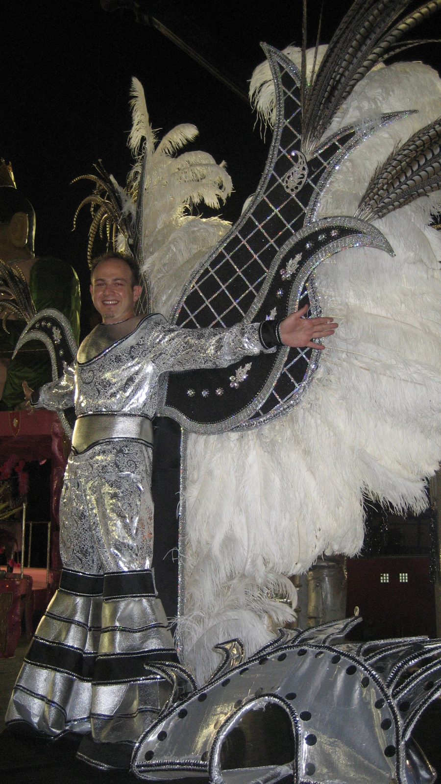 White feathers destaque
